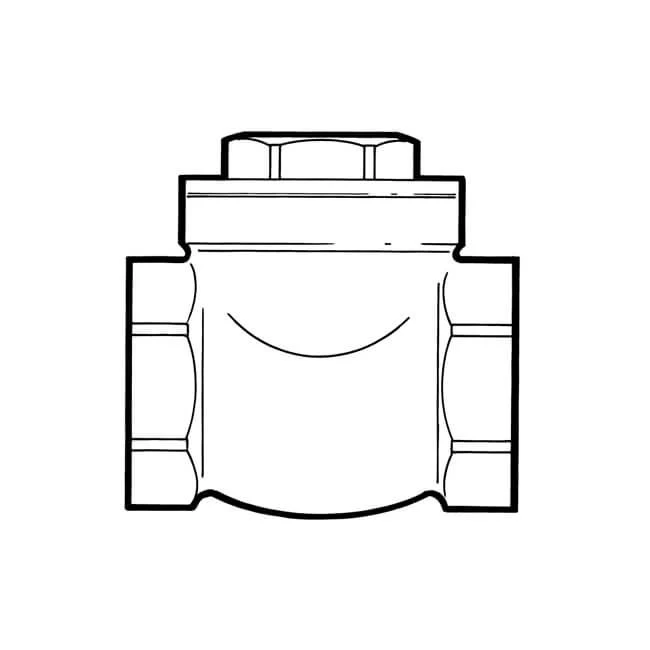 Water Swing Check Valve - Brass 3" BSP 4 Water Swing Check Valve - Brass 3" BSP - Image 2