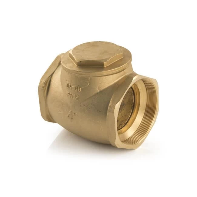 Water Swing Check Valve - Brass 3" BSP 3 Water Swing Check Valve - Brass 3" BSP