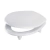 Wirquin Toilet Seat For The Elderly Or Infirm 1 Wirquin Toilet Seat For The Elderly Or Infirm -Plumbing Supply Store polypipe toilet seat forthe elderly or infirm min 18486 P 1